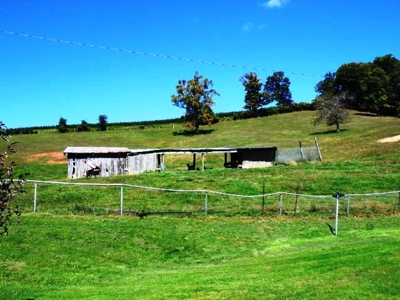 Absolute Real Estate & Personal Property Auction! Sparta, Nc - image 15