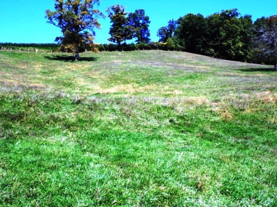 Absolute Real Estate & Personal Property Auction! Sparta, Nc - image 16