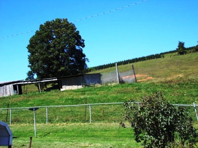 Absolute Real Estate & Personal Property Auction! Sparta, Nc - image 19