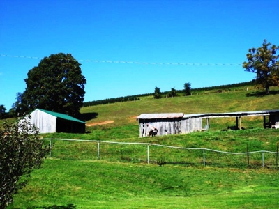 Absolute Real Estate & Personal Property Auction! Sparta, Nc - image 33