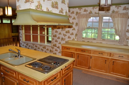 Only Auction Home at 1631 Ausley Bend Road Hartselle AL - image 30