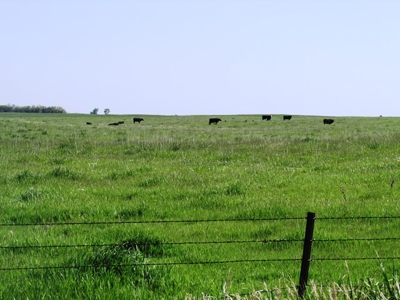 SOLD! $2515 per Acre. Land near Artesian, SD. - image 2