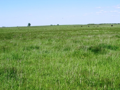 SOLD! $2515 per Acre. Land near Artesian, SD. - image 5