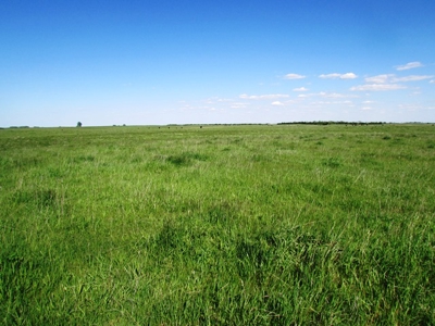 SOLD! $2515 per Acre. Land near Artesian, SD. - image 6