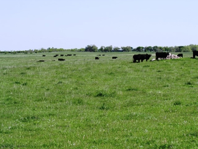 SOLD! $2515 per Acre. Land near Artesian, SD. - image 7