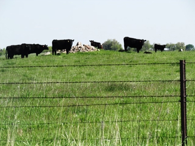 SOLD! $2515 per Acre. Land near Artesian, SD. - image 8