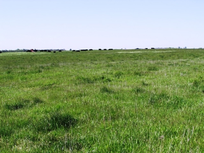 SOLD! $2515 per Acre. Land near Artesian, SD. - image 9