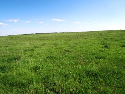 SOLD! $2515 per Acre. Land near Artesian, SD. - image 10