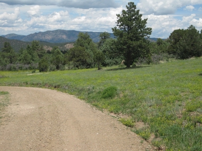 Colorado Mountain Luxury Solar Powered Home For Sale - image 8