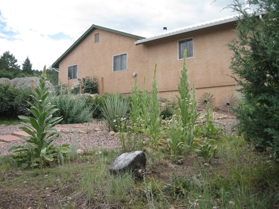 Colorado Mountain Luxury Solar Powered Home For Sale - image 36