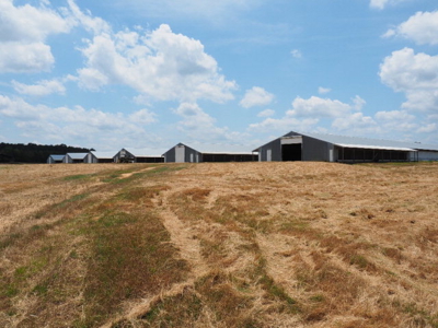 Poultry Broiler Farm Bassfield Ms Jefferson Davis - image 1