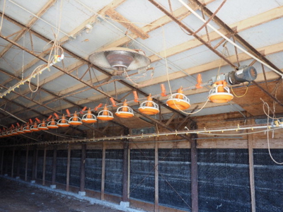 Poultry Broiler Farm Bassfield Ms Jefferson Davis - image 2