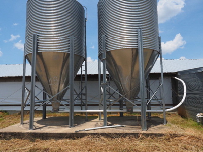 Poultry Broiler Farm Bassfield Ms Jefferson Davis - image 4