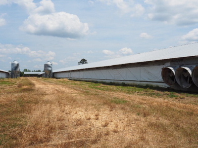 Poultry Broiler Farm Bassfield Ms Jefferson Davis - image 5