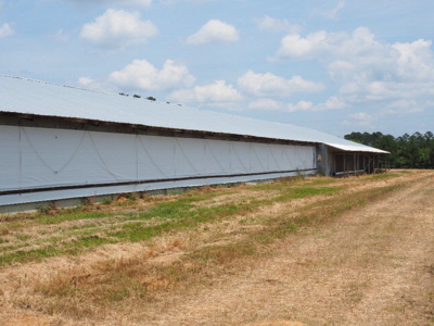 Poultry Broiler Farm Bassfield Ms Jefferson Davis - image 7