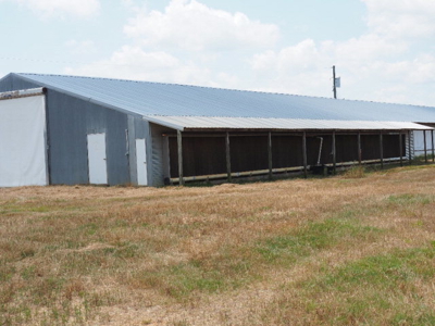 Poultry Broiler Farm Bassfield Ms Jefferson Davis - image 8