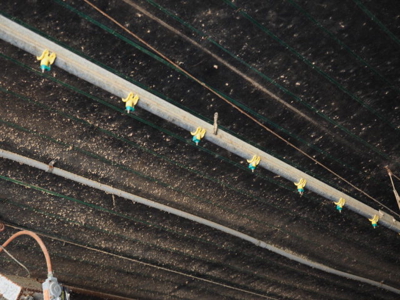 Poultry Broiler Farm Bassfield Ms Jefferson Davis - image 10