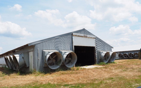 Poultry Broiler Farm Bassfield Ms Jefferson Davis - image 12