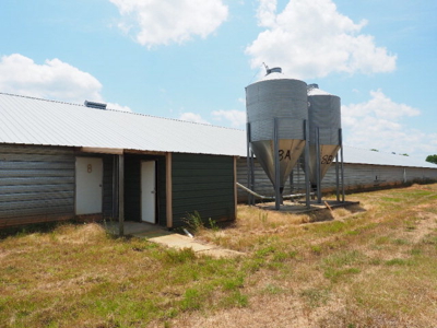 Poultry Broiler Farm Bassfield Ms Jefferson Davis - image 13