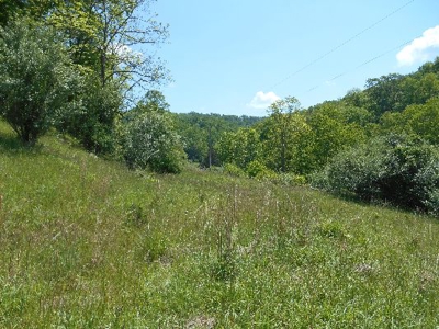 135 Acre Farm & Home Near Glenville, Wv - image 1