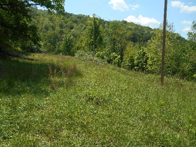 135 Acre Farm & Home Near Glenville, Wv - image 2
