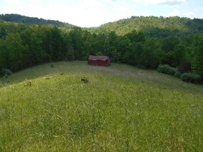 135 Acre Farm & Home Near Glenville, Wv - image 3