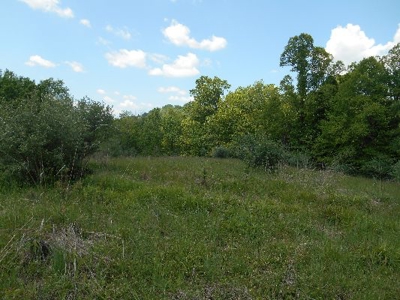 135 Acre Farm & Home Near Glenville, Wv - image 4