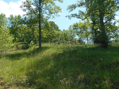 135 Acre Farm & Home Near Glenville, Wv - image 7