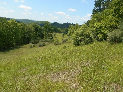 135 Acre Farm & Home Near Glenville, Wv - image 8