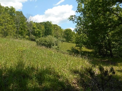 135 Acre Farm & Home Near Glenville, Wv - image 9