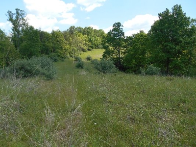 135 Acre Farm & Home Near Glenville, Wv - image 10