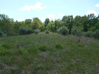 135 Acre Farm & Home Near Glenville, Wv - image 11