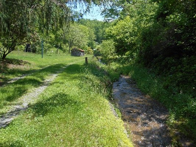135 Acre Farm & Home Near Glenville, Wv - image 12