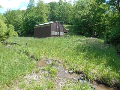 135 Acre Farm & Home Near Glenville, Wv - image 15