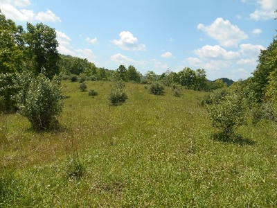 135 Acre Farm & Home Near Glenville, Wv - image 16