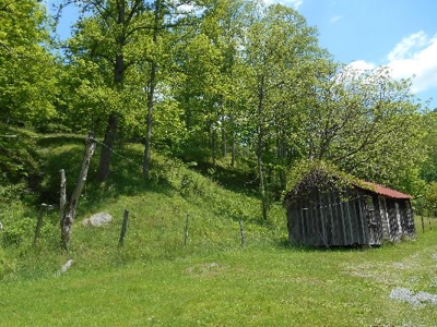 135 Acre Farm & Home Near Glenville, Wv - image 17