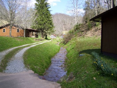 135 Acre Farm & Home Near Glenville, Wv - image 33