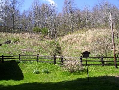135 Acre Farm & Home Near Glenville, Wv - image 36