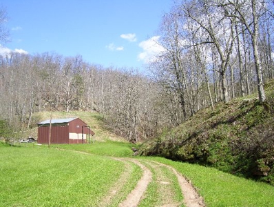135 Acre Farm & Home Near Glenville, Wv - image 37