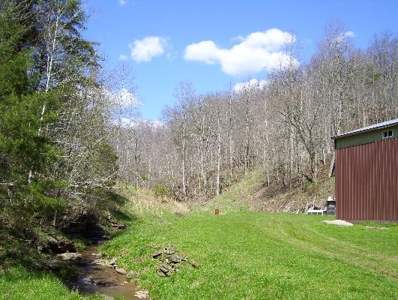 135 Acre Farm & Home Near Glenville, Wv - image 38