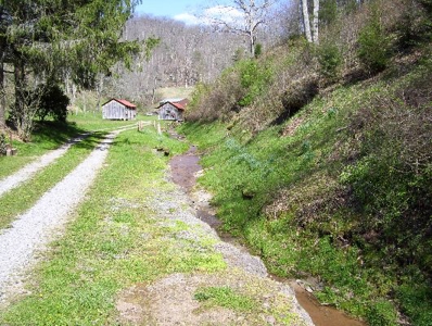 135 Acre Farm & Home Near Glenville, Wv - image 40