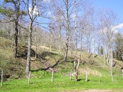 135 Acre Farm & Home Near Glenville, Wv - image 41