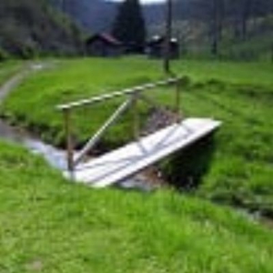 135 Acre Farm & Home Near Glenville, Wv - image 43