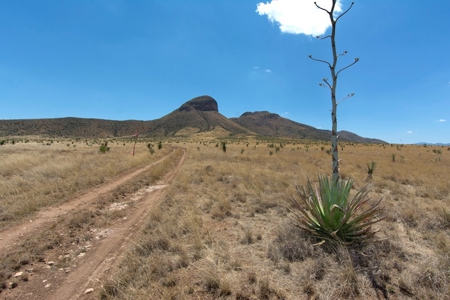 Auction 20 Acre Southern Az Ranch - House - Shop - Solar - image 13