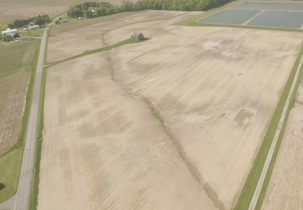 Land Auction - 312 Acres +/- Seneca & Crawford Counties - image 1