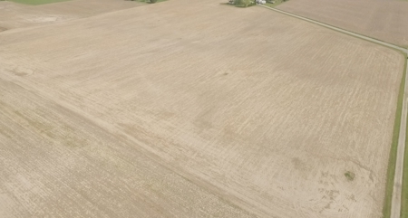 Land Auction - 312 Acres +/- Seneca & Crawford Counties - image 2