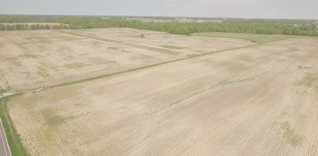 Land Auction - 312 Acres +/- Seneca & Crawford Counties - image 3