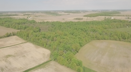 Land Auction - 312 Acres +/- Seneca & Crawford Counties - image 4