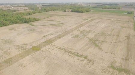 Land Auction - 312 Acres +/- Seneca & Crawford Counties - image 6