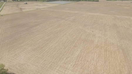 Land Auction - 312 Acres +/- Seneca & Crawford Counties - image 8